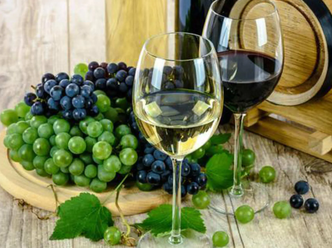 Islas Ballestas + Viñedos + Huacachina