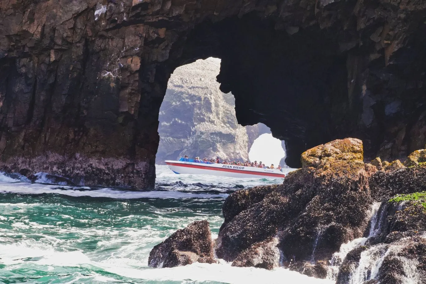 Islas Ballestas + Viñedos + Huacachina