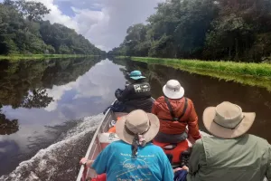 秘境アマゾン3日間｜野生動物＆ジャングル体験｜ロッジ宿泊